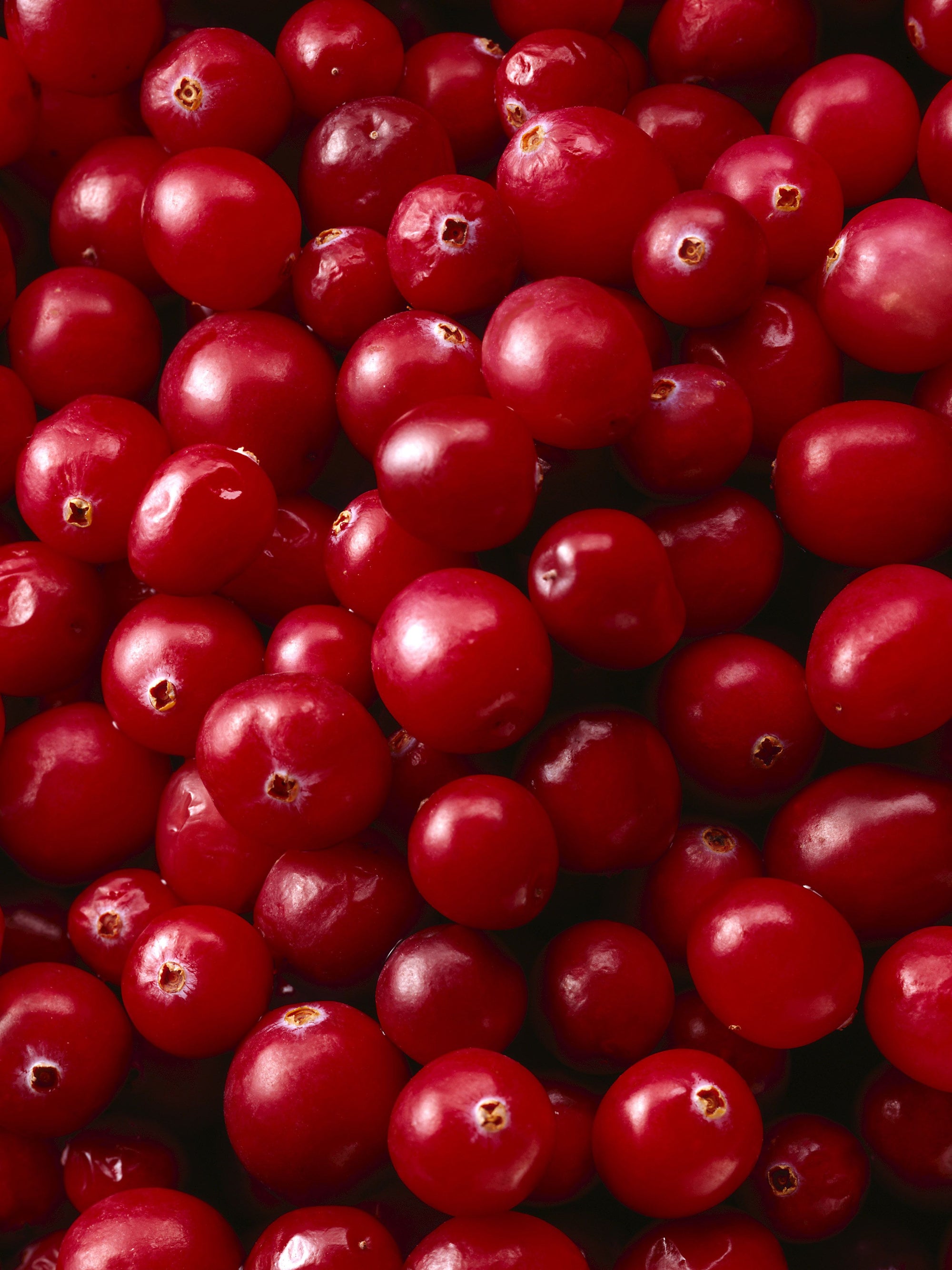 October's Seasonal Fruit and Veg