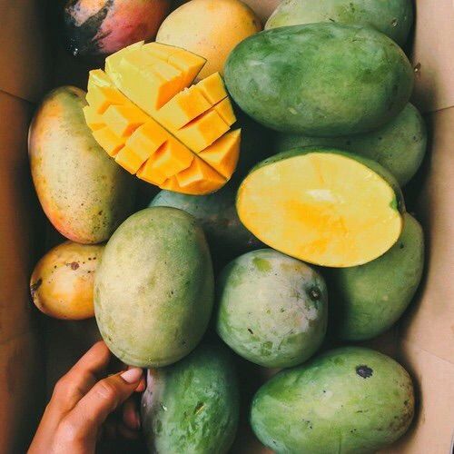 SUPERFOOD SPOTLIGHT – MANGO SEED BUTTER