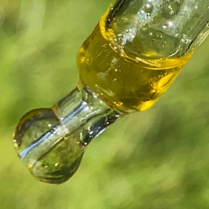 Cold Pressed Oils. What Are They And Why Are They A Must Have In Your Skincare?