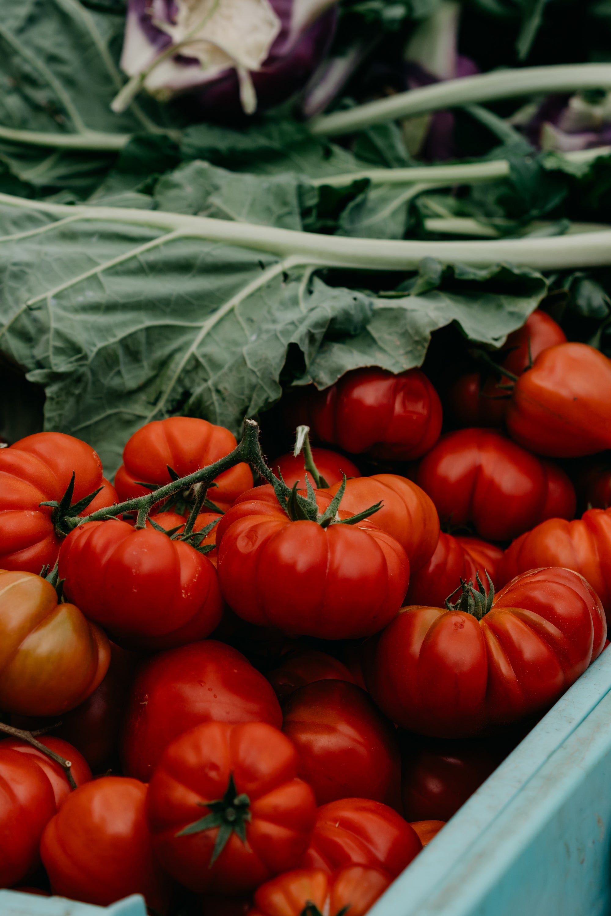 The Benefits of Keeping Things Green With Plant-Based Skincare