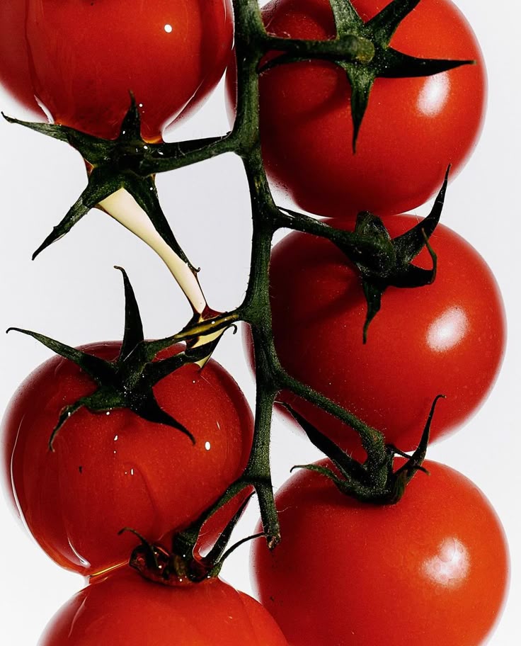 Longevity Is the New Beauty Standard