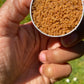 Coconut Crumble Superfood Natural Lip Scrub